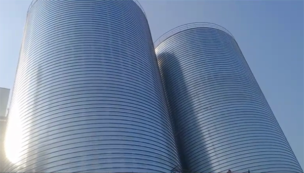 正宁2座混凝土高架卷板仓